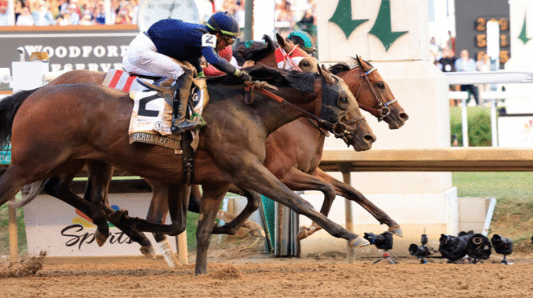Behind the Scenes: How a Day at the Races Unfolds